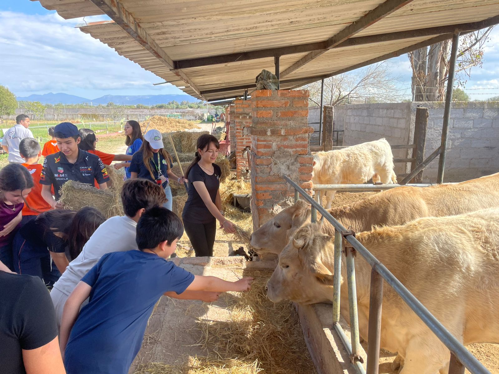 Experiencia en campamento Peña Grande 7